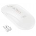 Миша XO M13 Tri-mode Bluetooth Wireless Silent White (7106513) Миша XO M13 Tri-mode Bluetooth Wireless Silent White (7106513)