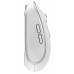 Миша комп'ютерна Yenkee YMS 2085WE Dual mode WL mouse NOBLE (7090573) Миша комп'ютерна Yenkee YMS 2085WE Dual mode WL mouse NOBLE (7090573)