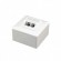 Огляд: Розетка Cablexpert (MWS-2S6-01) 2×RJ-45, Cat.6, зовнішня, біла